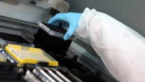 Bollettino Coronavirus, nuovo record in Campania: 431 positivi