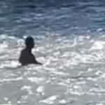 La figlia muore annegata, il papà ogni giorno si getta nel fiume per trovare il corpo