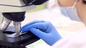 mare segreto della giovinezza