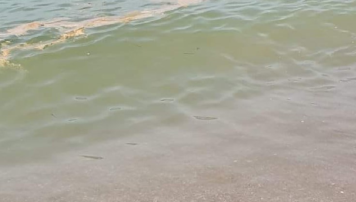 Mare marrone come una fogna, è allarme ambientale: scoppia la protesta