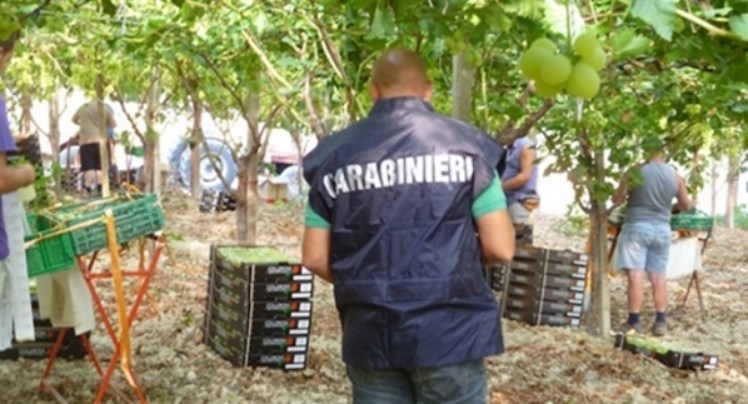 Caporalato, nella provincia di Caserta l'attività è gestita da persone dell'Est Europa