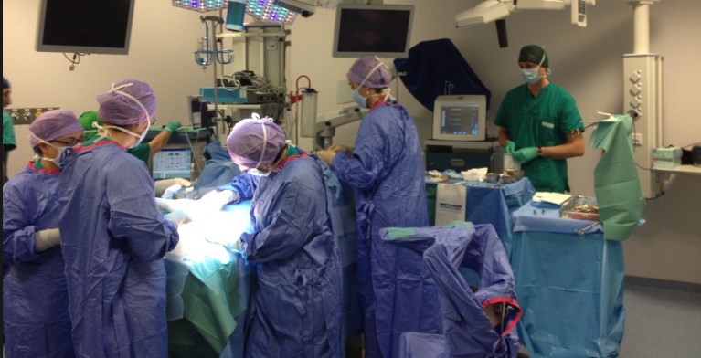 Sbagliano la diagnosi e gli asportano un testicolo: medico a processo