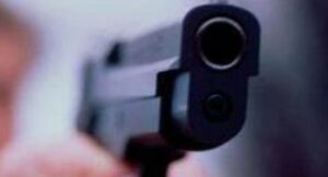 Violenta lite con spari nel napoletano: ferito un cane. Scatta la denuncia