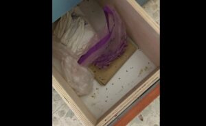 Napoli, escrementi di topo nell'asilo nido: la rivolta delle mamme