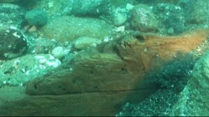 Miseno, straordinaria scoperta sui fondali marini: trovati i resti di un'imbarcazione romana