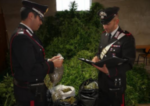Droga dalla Spagna all'Italia, sequestrati 48 kg di marijuana nel Casertano