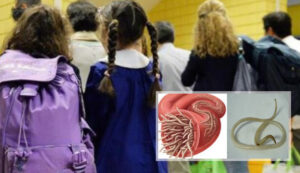 Allarme vermi nelle scuole del Napoletano, le denunce delle madri