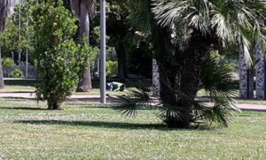 Sesso al Parco Mercatello in pieno giorno, degrado a Salerno