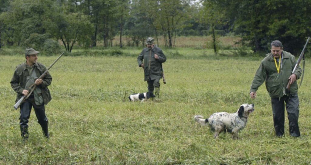 Il calendario venatorio 2018-2019, le date in cui è consentito cacciare