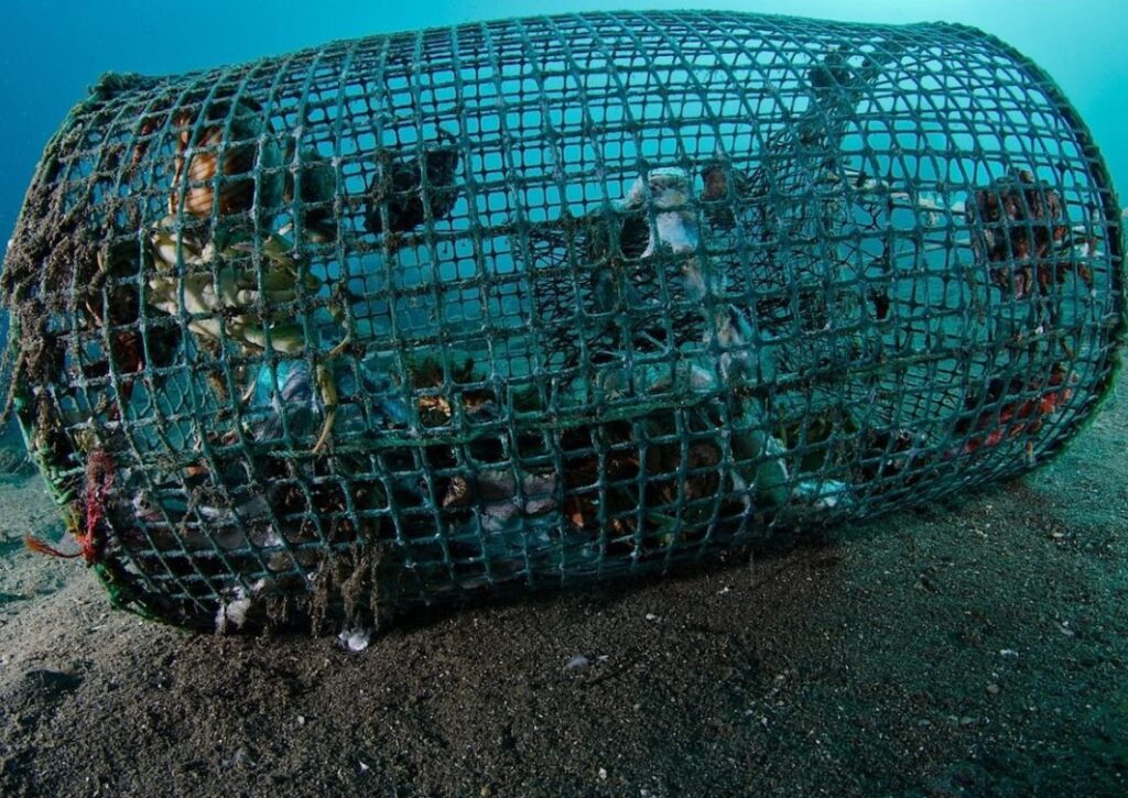Blitz della Guardia Costiera a Baia, sequestrati lettini, ombrelloni e nasse illegali