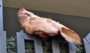 Minacce al vicesindaco di Poggiomarino e al padre, avvertimento in stile mafioso