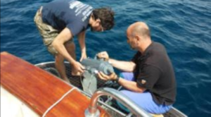 monitoraggio acque punta campanella