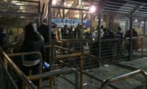 Napoli - Parma, i prezzi popolari non accendono l'entusiasmo: si attendono 25mila tifosi