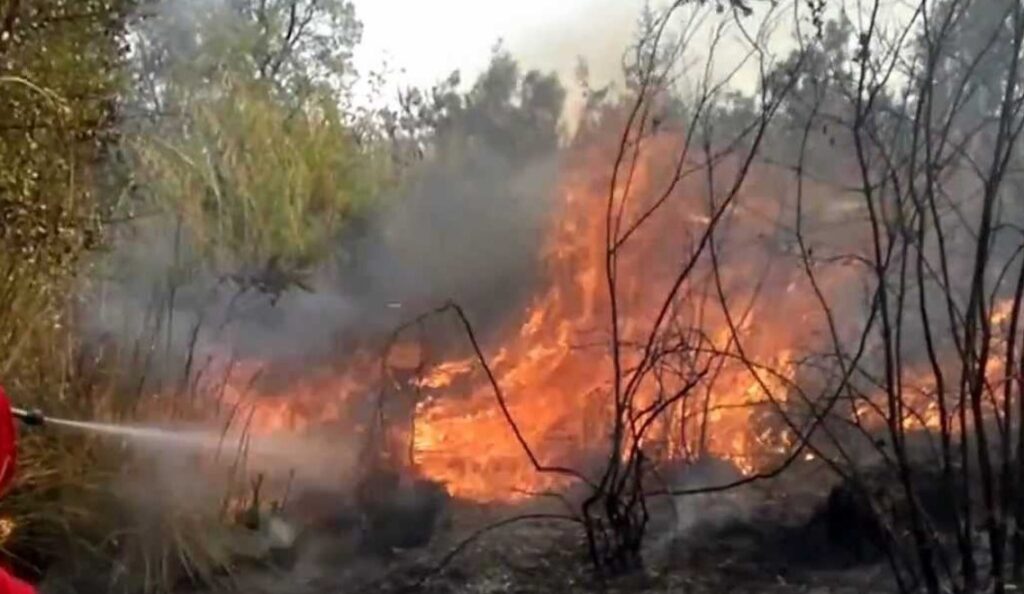 Ferragosto di fuoco in Campania, dal Cilento al Faito sviluppati numerosi roghi