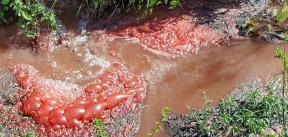 Il "pentagono della morte", il fiume Sarno tra i 20 corsi d'acqua più inquinati al mondo