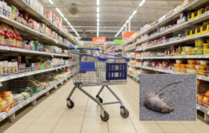 Acquista una confezione di fagioli in scatola e trova un topo morto dentro