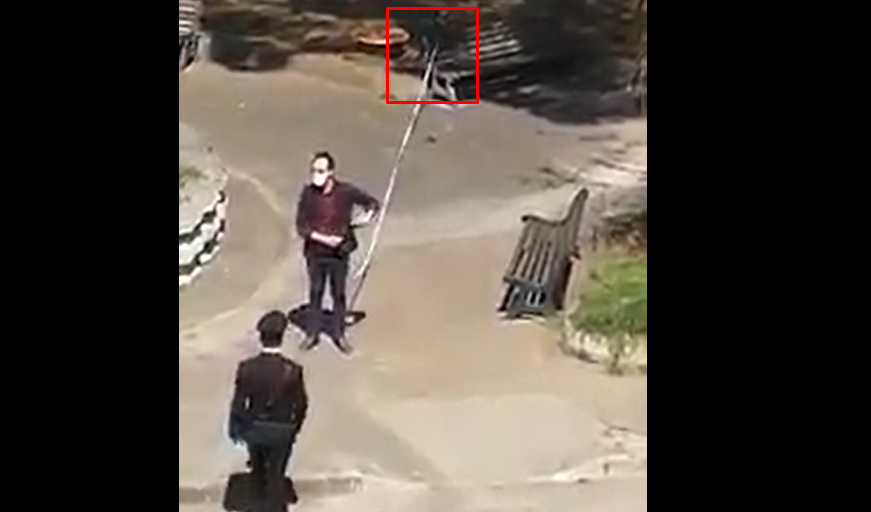 Porta a spasso un pappagallo ad Angri, il video diventa virale