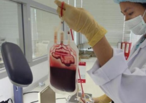 Donatore mente su viaggio all'estero, sangue infetto a una donna in un ospedale di Napoli