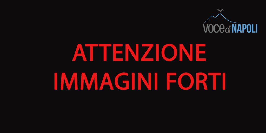 Incidente mortale sull'A3, vittima un centauro: corpo fatto a pezzi