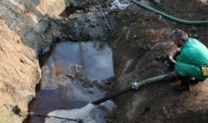 acque inquinate palma campania