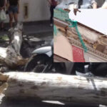 Alberi e cornicioni "killer", Napoli cade a pezzi: i cittadini dicono basta