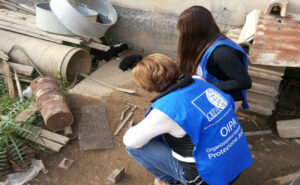 Trovato un cucciolo morto: è stato soffocato con un sacchetto