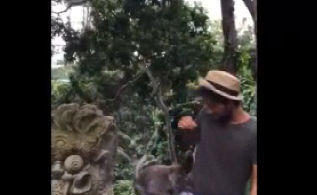 Noto imprenditore napoletano derubato in vacanza da una scimmia