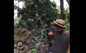 Noto imprenditore napoletano derubato in vacanza da una scimmia