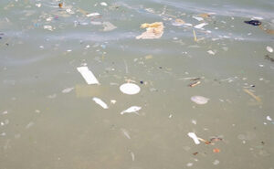 Sversamento degli scarichi in mare: denunciato responsabile di un lido