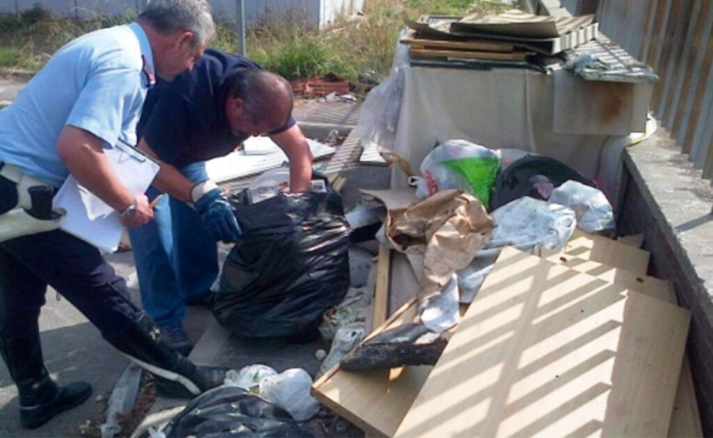 L'appello per adottare un gattino: una donna lo ha salvato dalla spazzatura