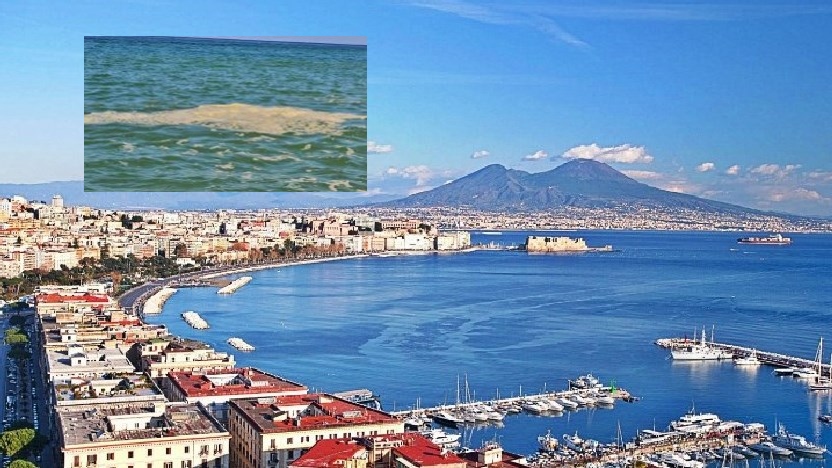 Regione Campania, l'Arpac: "Ecco lo stato di salute del nostro mare"