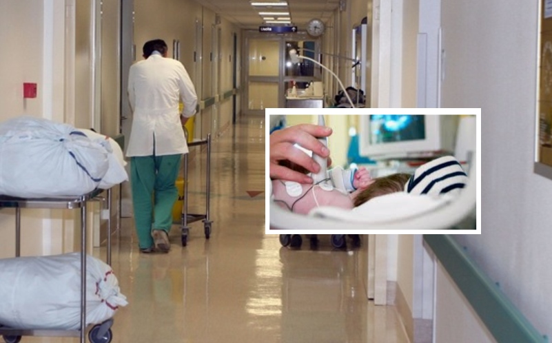 Napoli, allarme aviaria e meningite: bimbo grave. Scatta l'allarme dei genitori