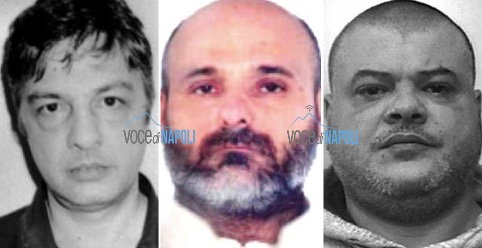 Mario Avolio, le parentele scomode e la faida per il traffico di droga