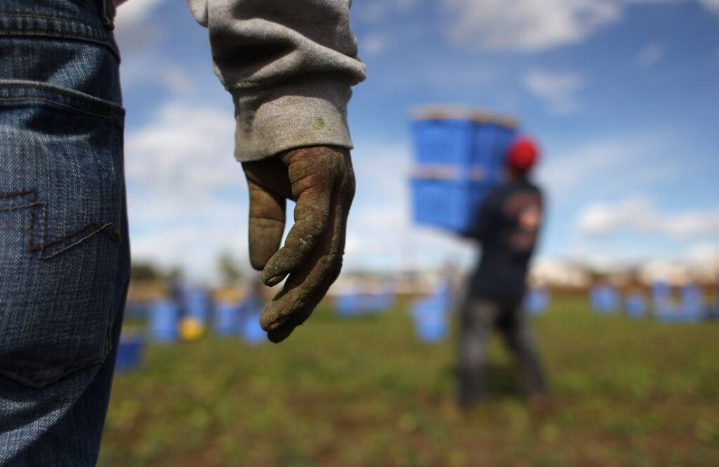 Castelvolturno, immigrati irregolari rendono un servizio alla comunità