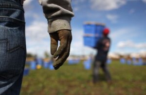 Castelvolturno, immigrati irregolari rendono un servizio alla comunità