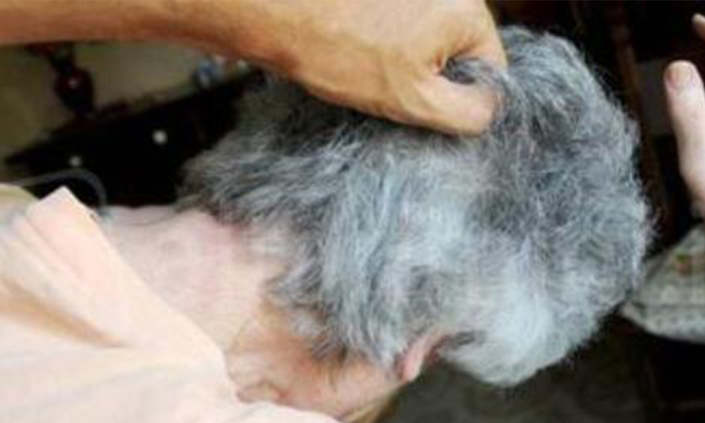 Buttano giù la porta e aggrediscono una donna: l'obiettivo del raid era il figlio