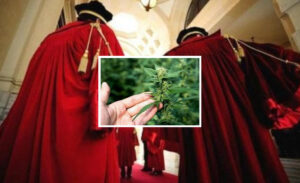 Anche sulla marijuana la Cassazione è arrivata prima del Parlamento