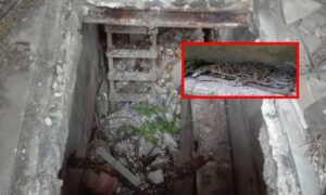 Orrore al cimitero di Poggioreale, loculo aperto e ossa ammucchiate