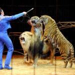 Alan Valeriu si scaglia contro gli animalisti: "Si crede che un animale libero sia felice ma è veramente così?"