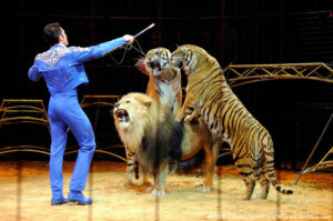 Alan Valeriu si scaglia contro gli animalisti: "Si crede che un animale libero sia felice ma è veramente così?"