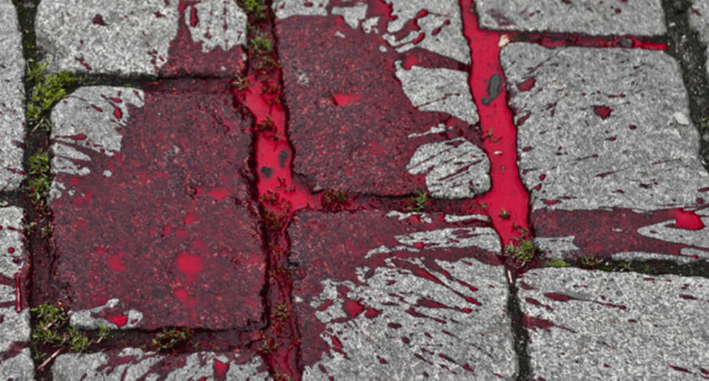 Sessaurunca, uomo ucciso con colpi d'ascia alla testa