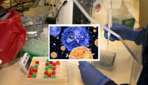 Coronavirus, la scoperta: "Chi guarisce sviluppa sempre gli anticorpi"