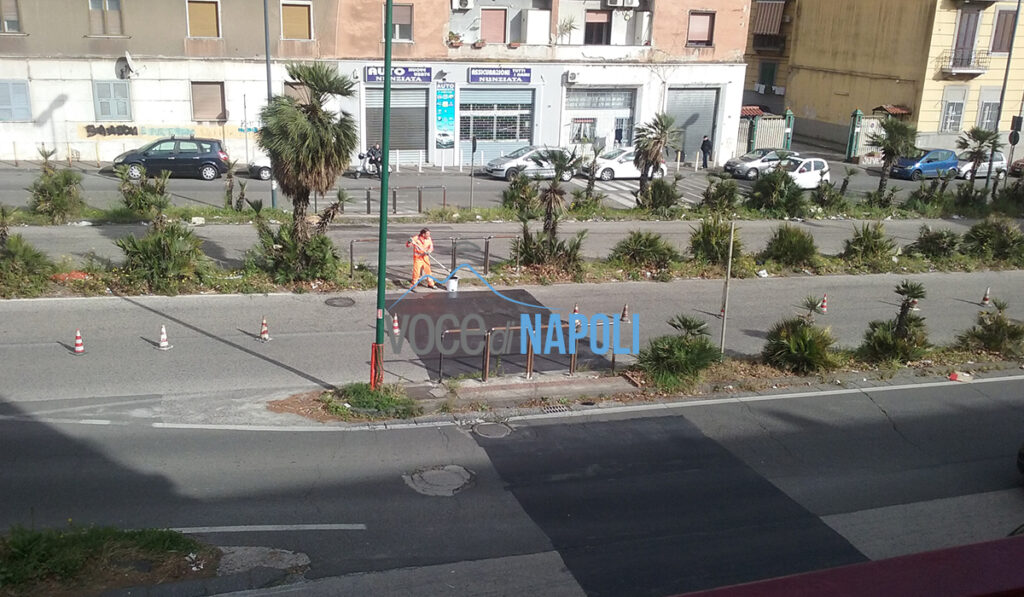 Corso Malta, dopo l'incidente mortale il comune è ancora "immobile"