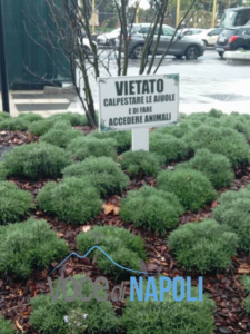 Per non parlare della grafica usata che fa somigliare gli avvisi a dei manifesti funebri. 