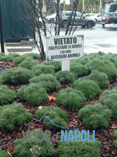 Per non parlare della grafica usata che fa somigliare gli avvisi a dei manifesti funebri. 