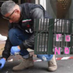 Santobono, spuntano i messaggi per la bimba in fin di vita: "Forza Noemi"