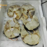 Giugliano, maxi sequestro della Guardia di Finanza in un centro ittico