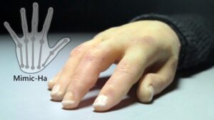 mimic-ha