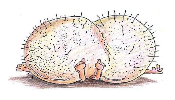 significato-di-guallera-napoletano-600x343