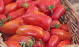 Il Festival del Pomodoro 2017 tinge di rosso il Vomero